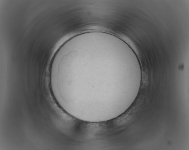 X0000091971098200710041044