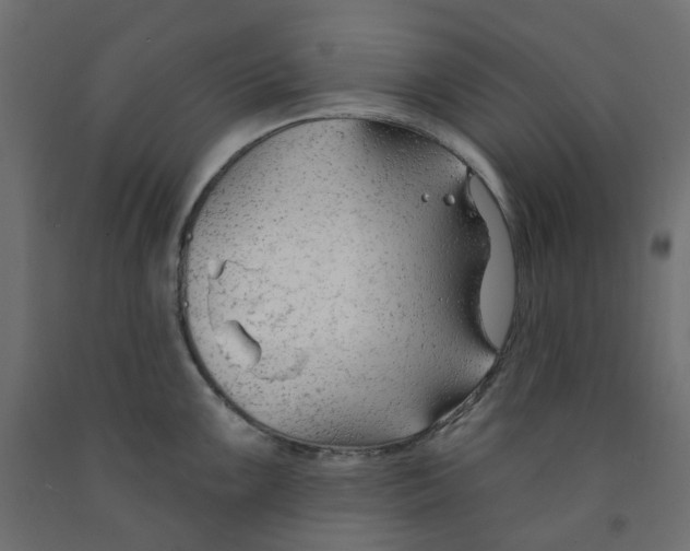 X0000091971099200710041044