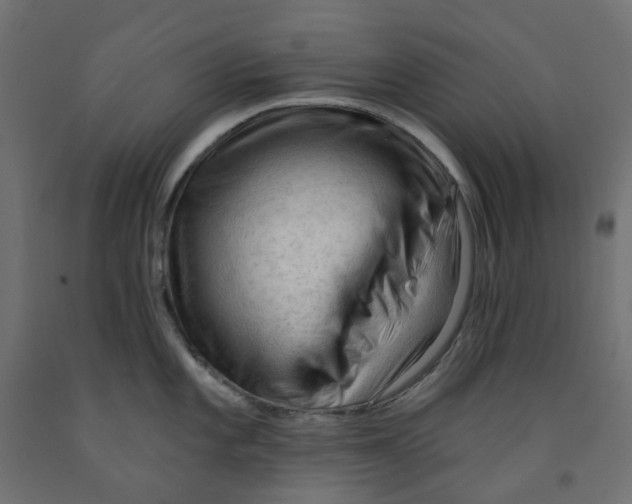 X0000091971101200710041044