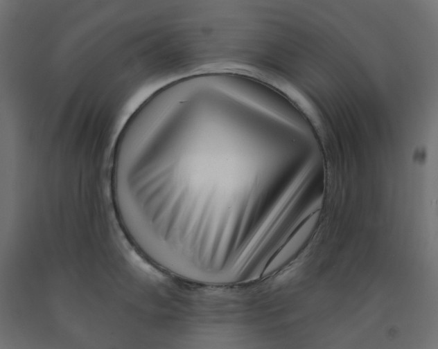 X0000091971102200710041044