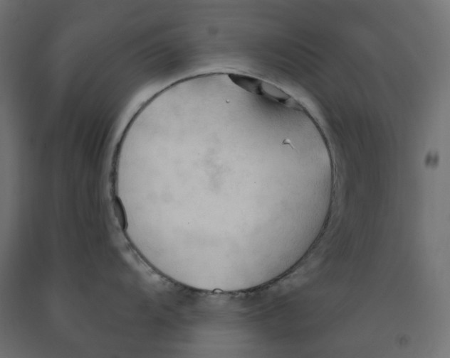 X0000091971104200710041044