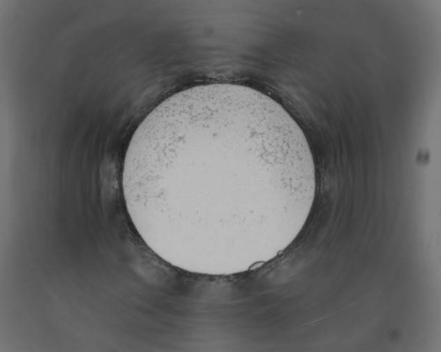 X0000091971106200710041043