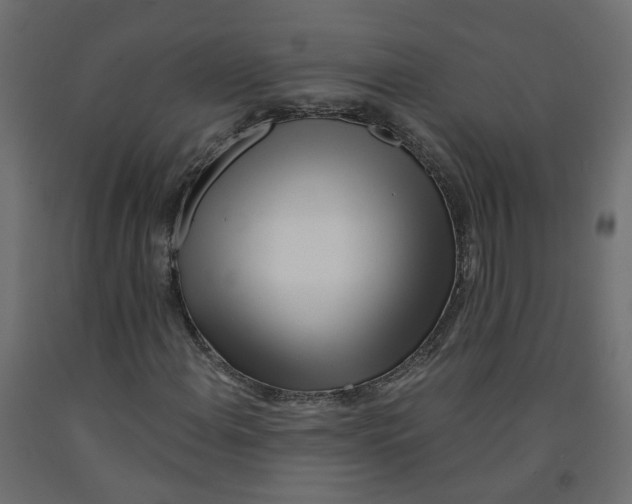 X0000091971108200710041043