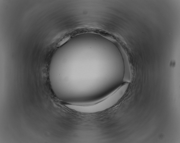 X0000091971110200710041043