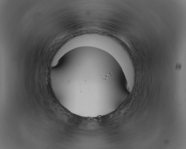 X0000091971111200710041043