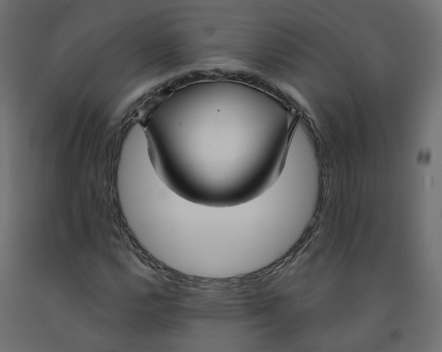X0000091971112200710041043