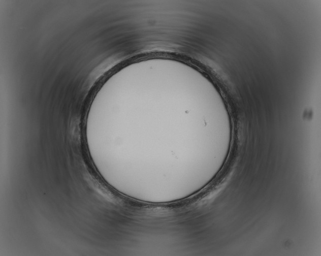 X0000091971113200710041043