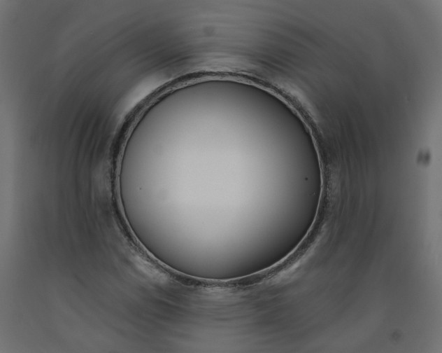 X0000091971114200710041043