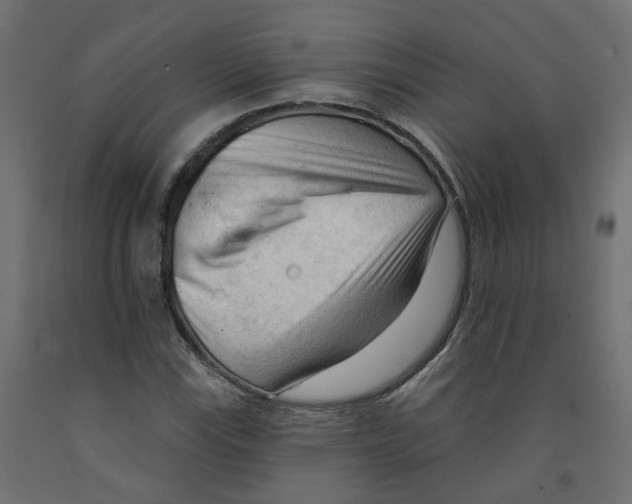 X0000091971115200710041043