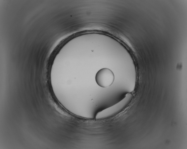 X0000091971116200710041043