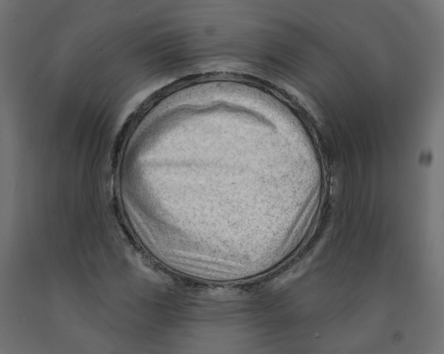 X0000091971117200710041043