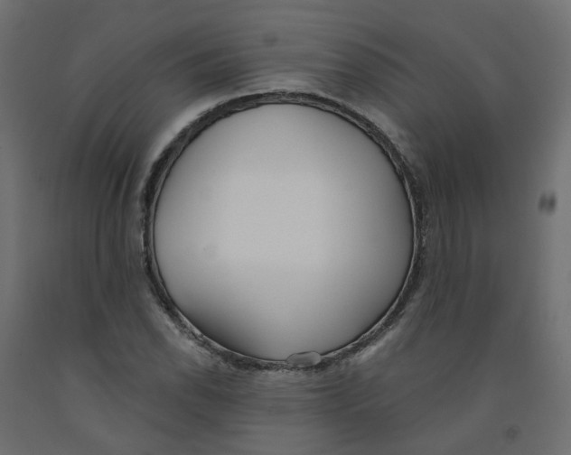 X0000091971118200710041043