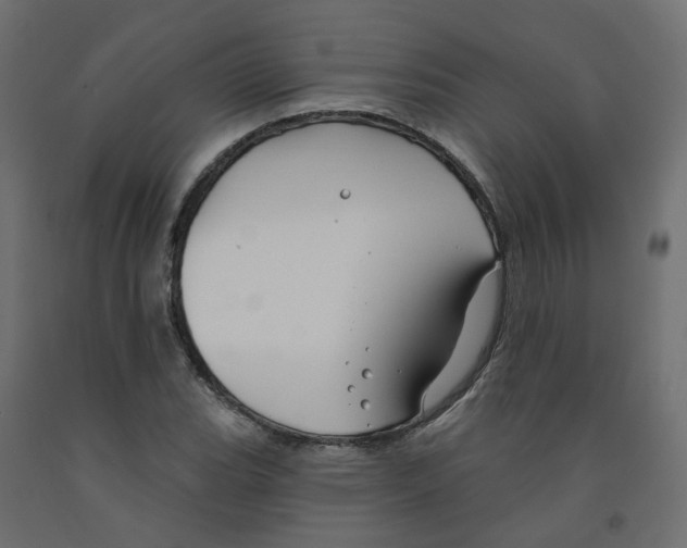 X0000091971119200710041043