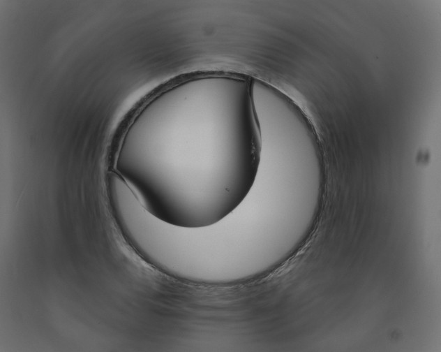 X0000091971120200710041043