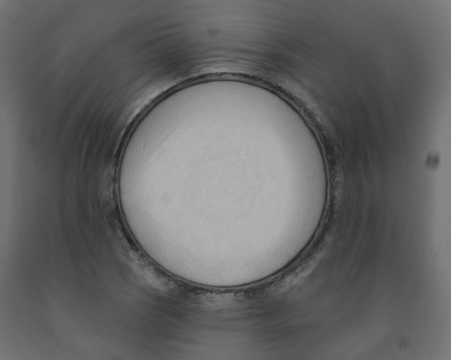 X0000091971121200710041043