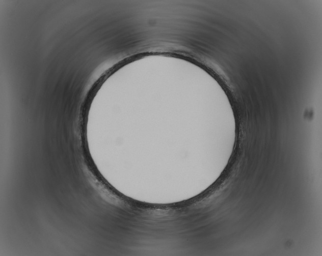 X0000091971122200710041043