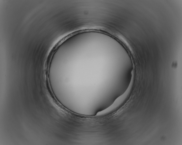 X0000091971124200710041043