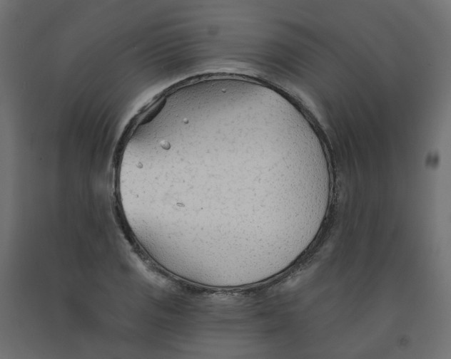 X0000091971125200710041043