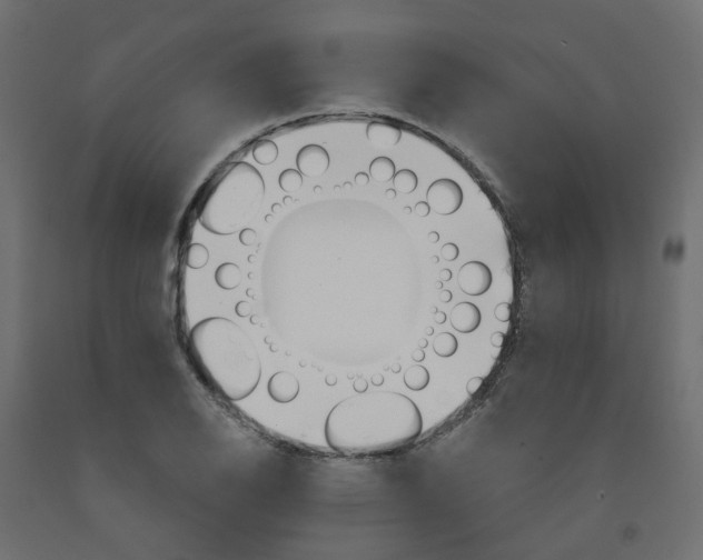 X0000091971126200710041043