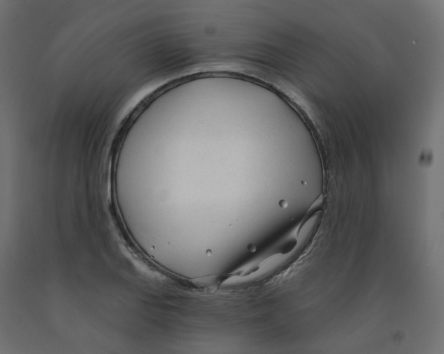 X0000091971127200710041043