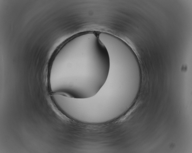 X0000091971128200710041043