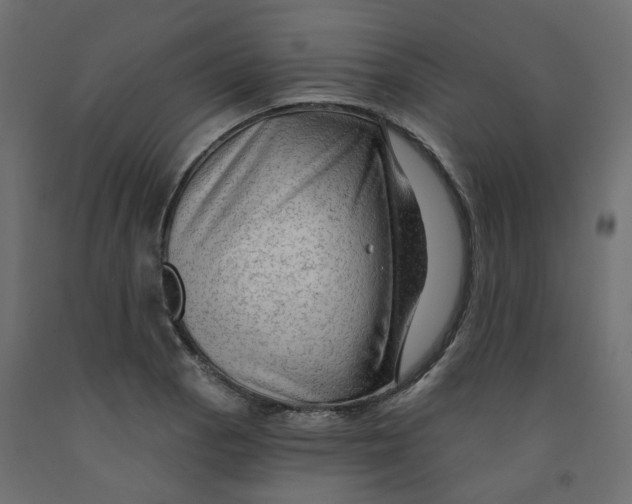 X0000091971129200710041043