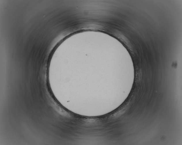 X0000091971130200710041043