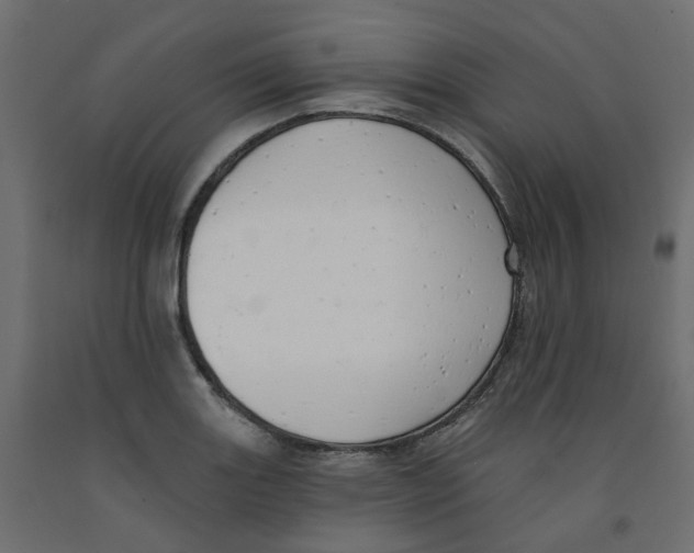 X0000091971131200710041043