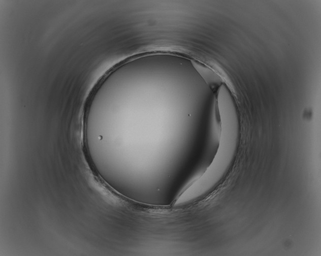 X0000091971132200710041043
