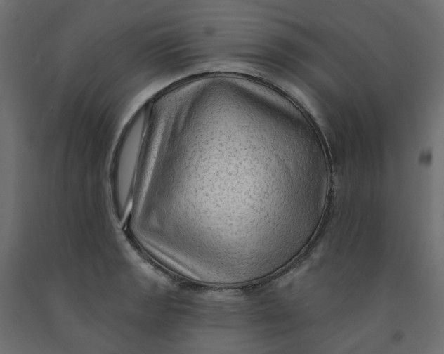 X0000091971133200710041043