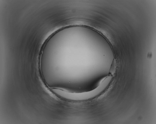 X0000091971134200710041043