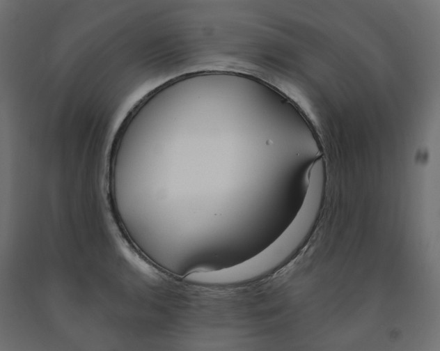 X0000091971136200710041043