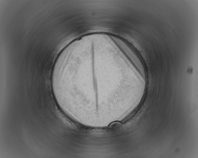 X0000091971137200710041043