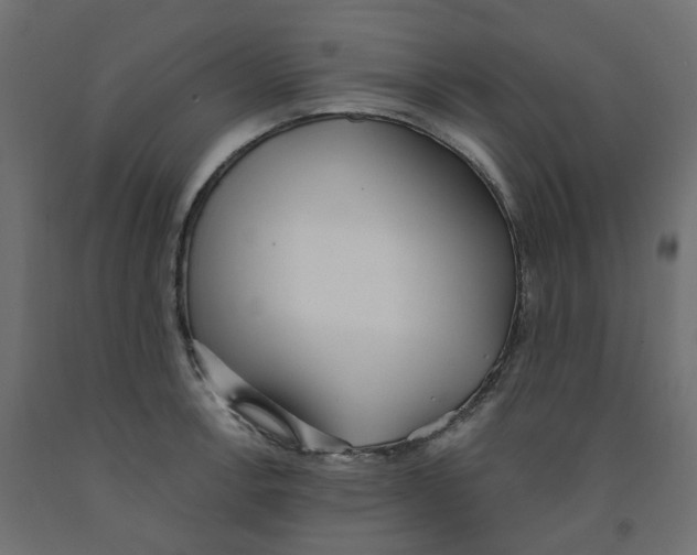 X0000091971138200710041043
