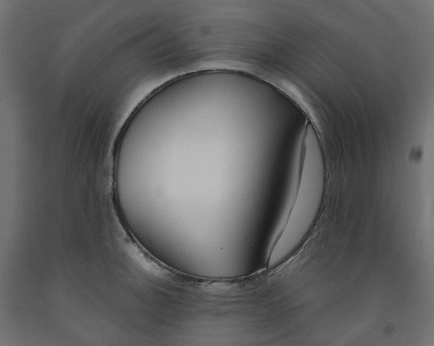 X0000091971140200710041043