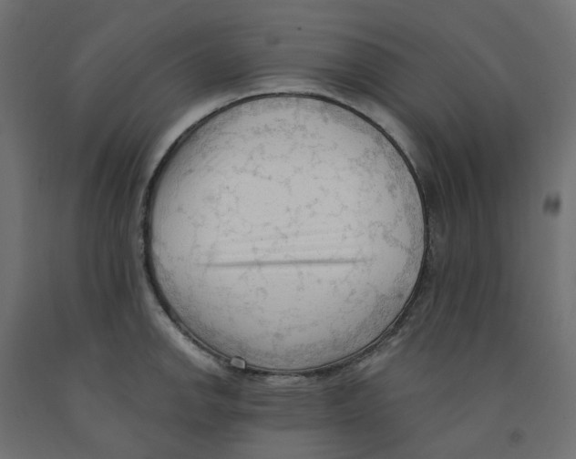 X0000091971142200710041043