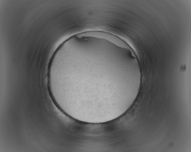 X0000091971143200710041043