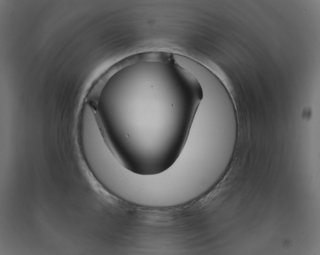 X0000091971144200710041043