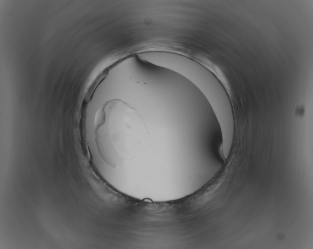 X0000091971146200710041044