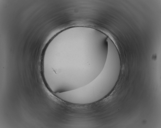 X0000091971147200710041044