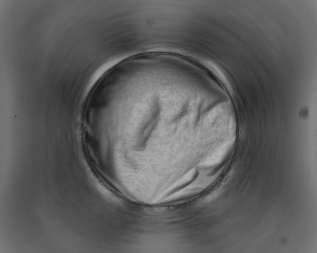 X0000091971149200710041044