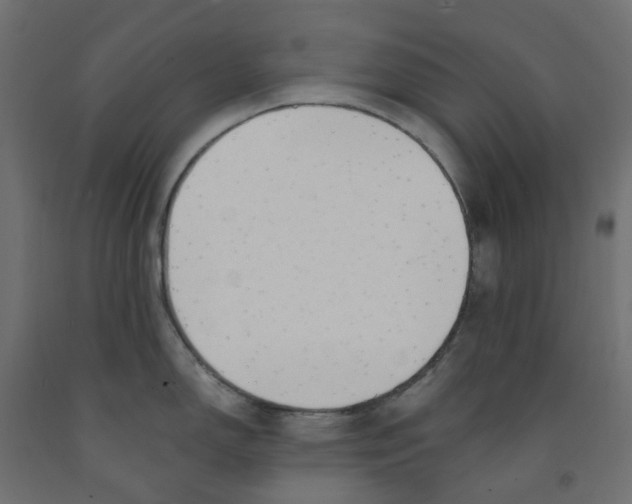 X0000091971150200710041044