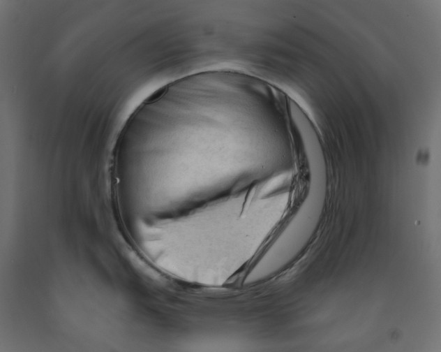 X0000091971151200710041044