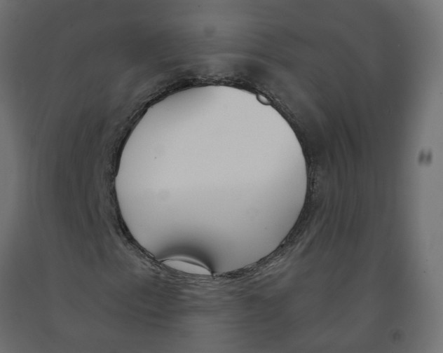 X0000091971153200710041043