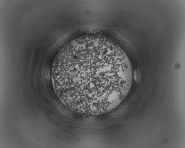 X0000091971155200710041043