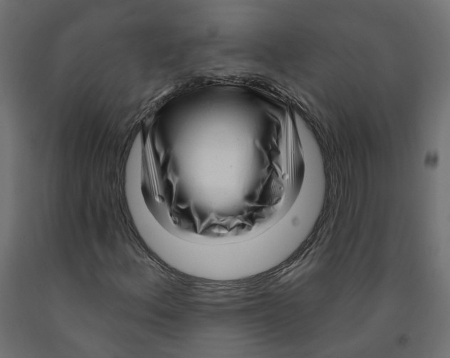 X0000091971156200710041043