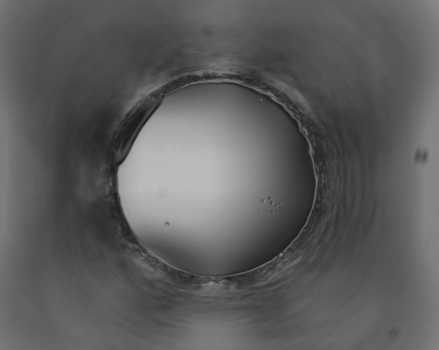 X0000091971160200710041043