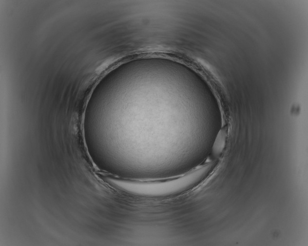 X0000091971161200710041043