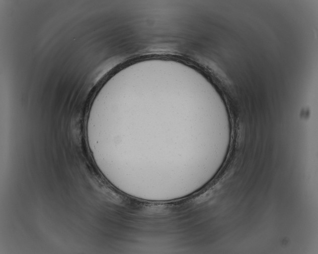 X0000091971162200710041043