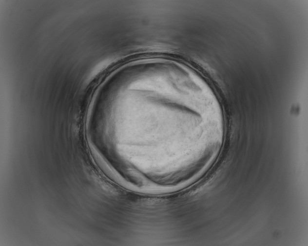 X0000091971163200710041043